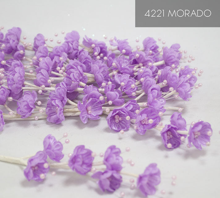 4221 MORADO 12 UNIDADES