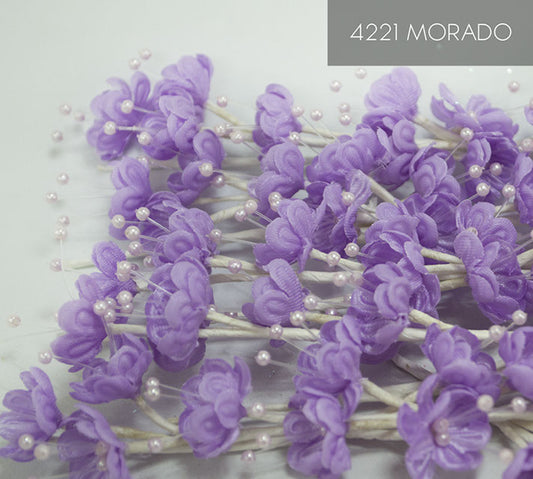 4221 MORADO 12 UNIDADES