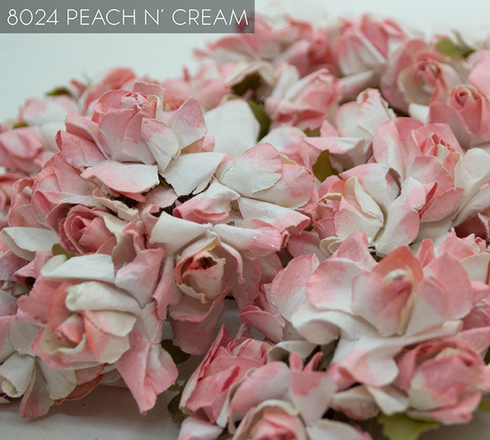 8024 PEACH N' CREAM 12 UNIDADES