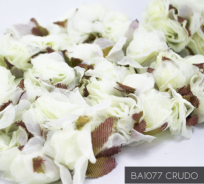 BA1077 CRUDO 12 UNIDADES