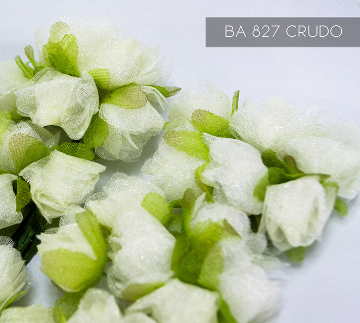 BA827 CRUDO 12 UNIDADES